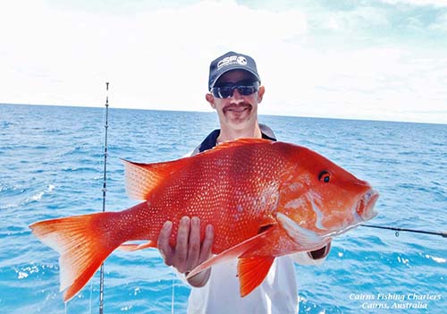 Cairns Fishing: Great Barrier Reef fishing, river fishing, deep